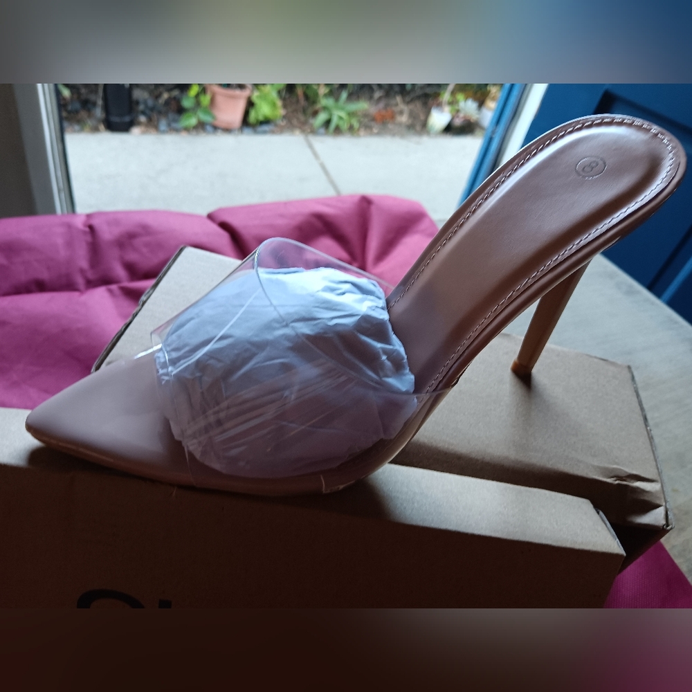 Shion Nude & Clear Heels
